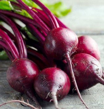 Beetroot - Bulls Blood - Approx 140 seeds - Raw Open Pollinated