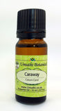 CARAWAY OIL - carum carvi - 100% Pure