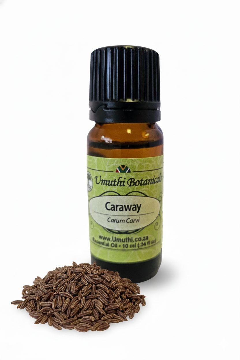 Caraway - Essential Oil