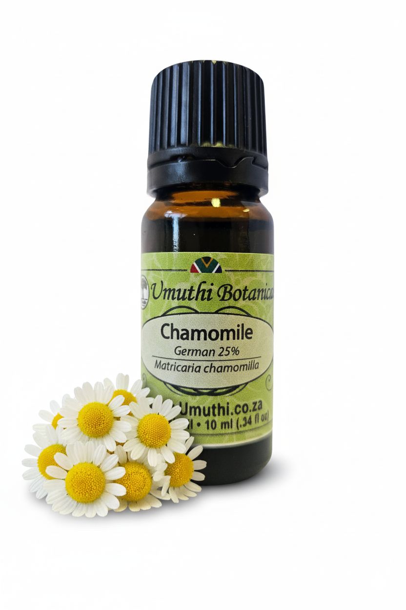 Chamomile German - Essential Oil - 25% blend