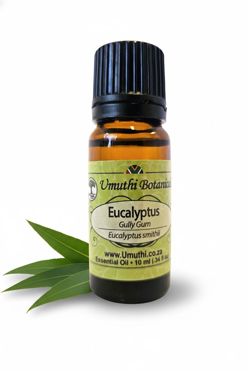 Eucalyptus Gully Gum - Essential Oil