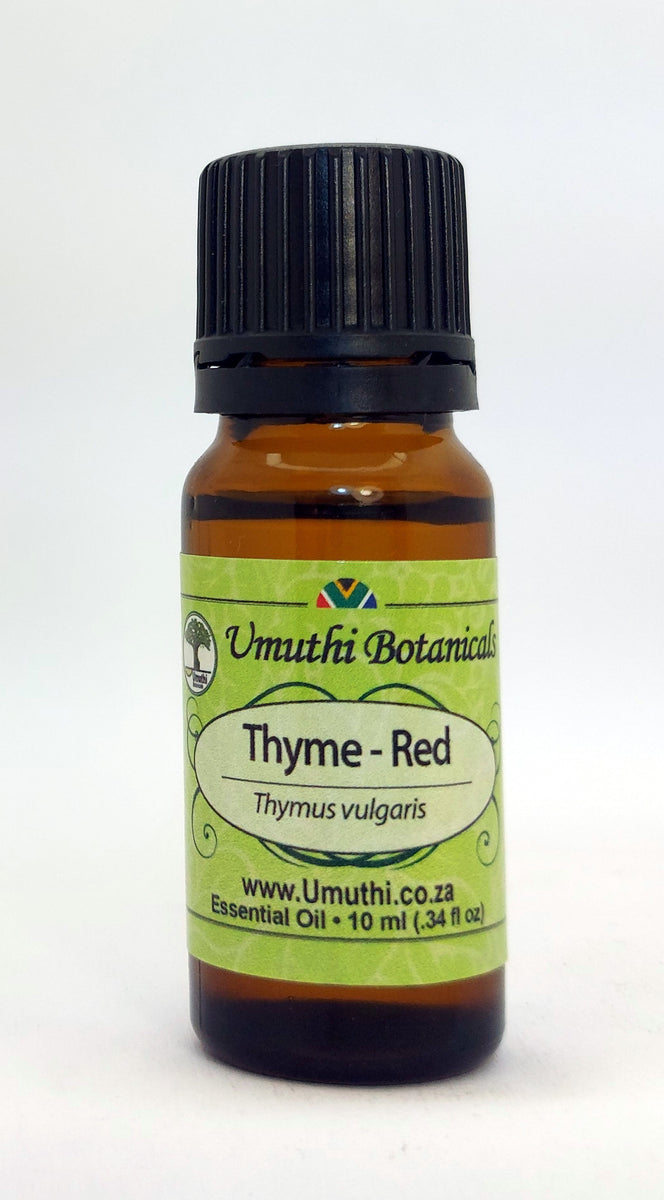 THYME OIL (RED) Thymus vulgaris umuthi.co.za