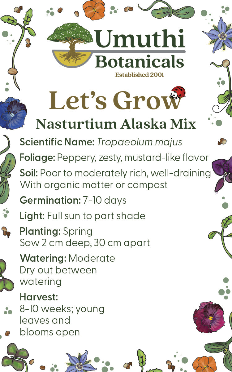 Nasturtium Alaska Seed Mix - Edible Flowers - 5 grams
