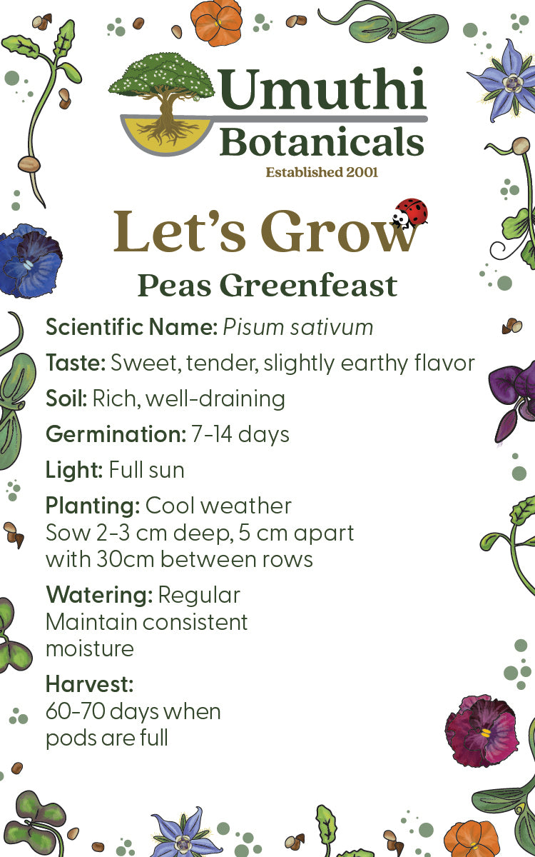 Peas - Greenfeast - 30 Seeds