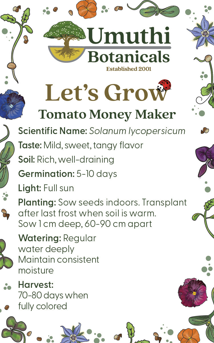Tomato Money Maker - 125 Seeds