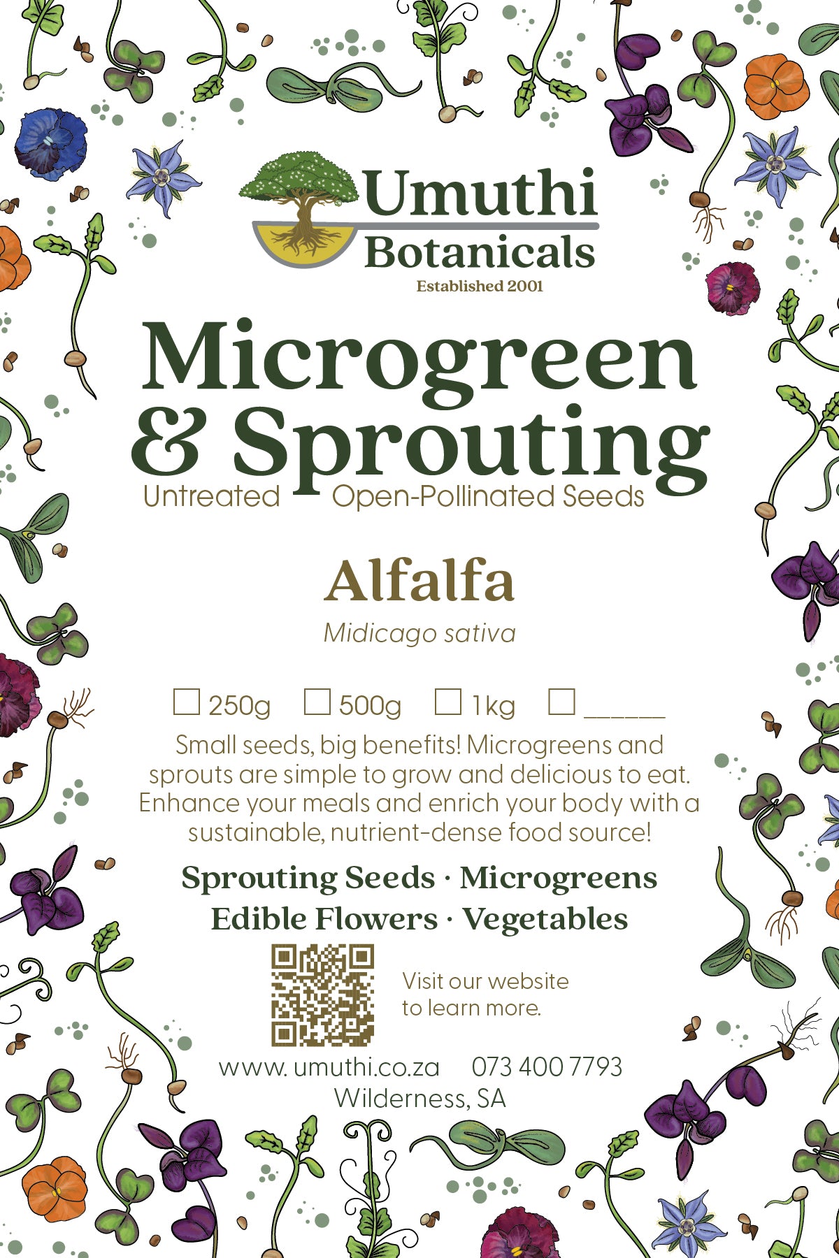Alfalfa Seed - Microgreen & Sprouting Seeds