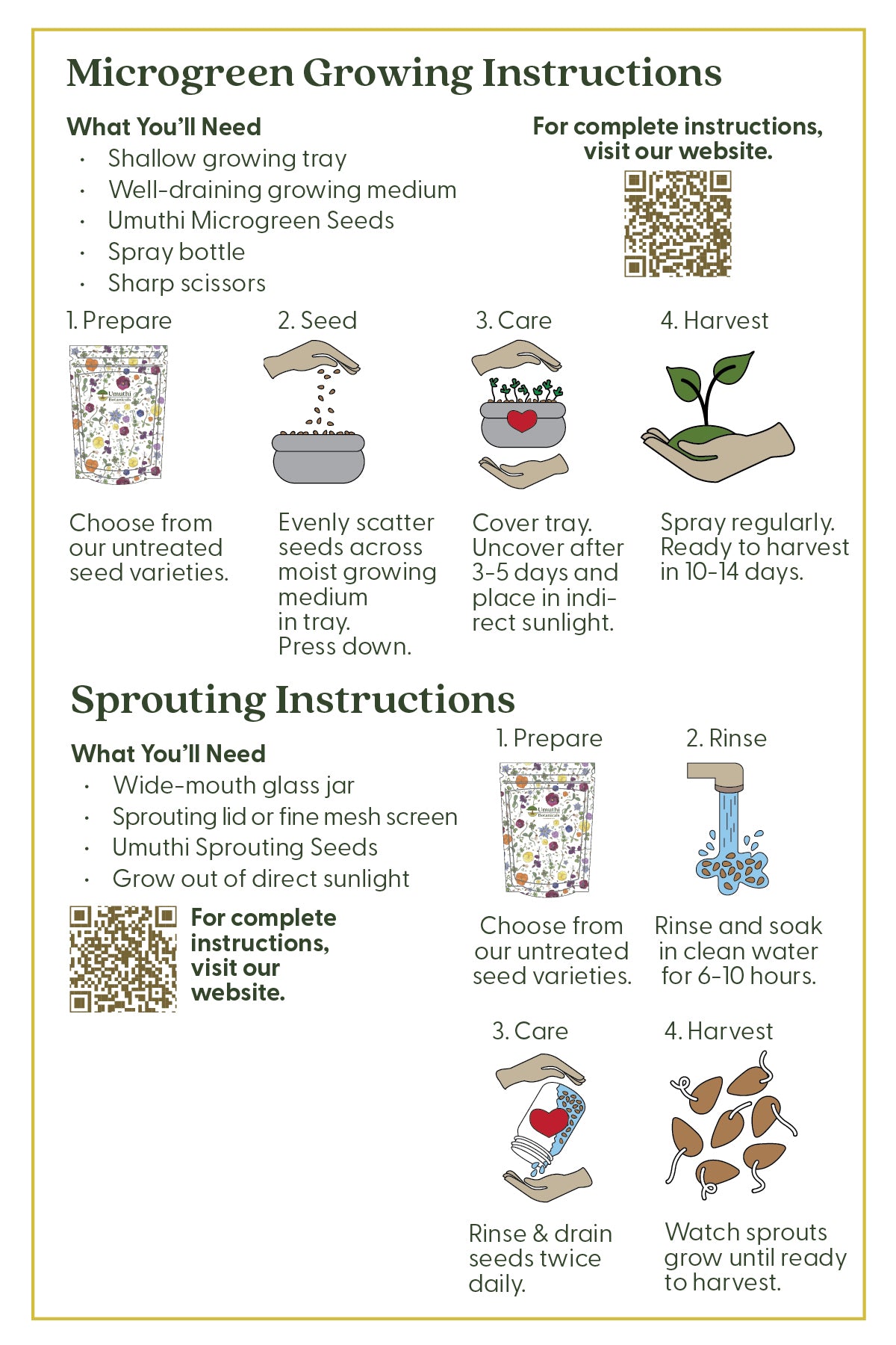 Lentil Green Seed - Microgreen & Sprouting Seeds