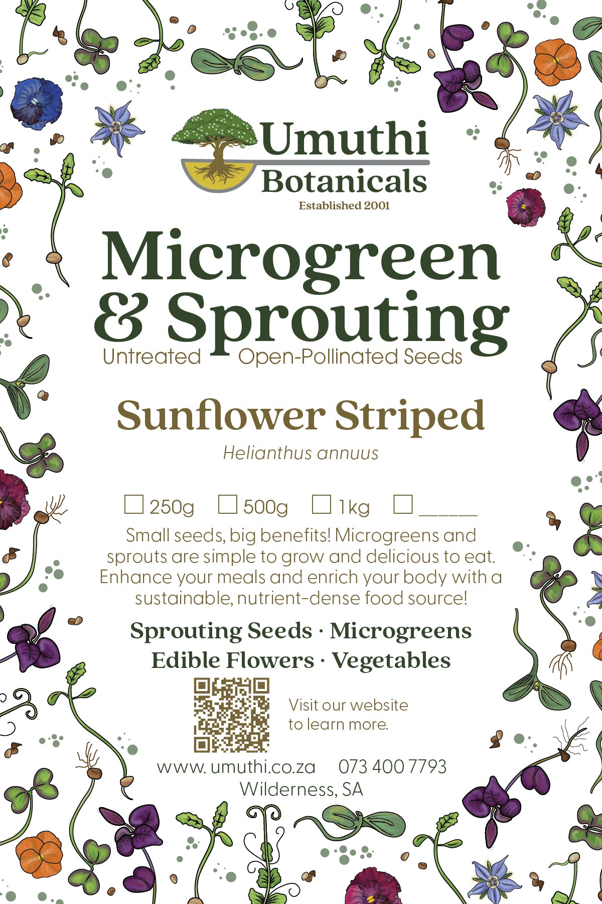 Sunflower Striped Seed - Microgreen & Sprouting Seeds