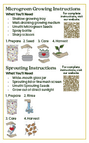 Sprouting Jar Kit - 4 Jar Seed Starter Pack