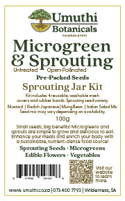 Sprouting Jar Kit - 4 Jar Seed Starter Pack