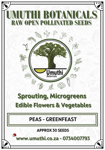 Peas Greenfeast - 30 seeds - Raw Open Pollinated