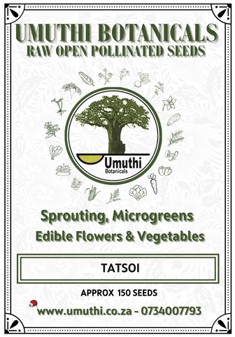 Tatsoi - Approx 150 Seeds - Raw Open Pollinated