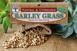 Barley grass seeds Botanical name: Hordeum Vulgare
