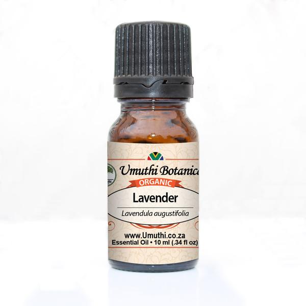 Organic lavender lavendula augustifolia 10ml