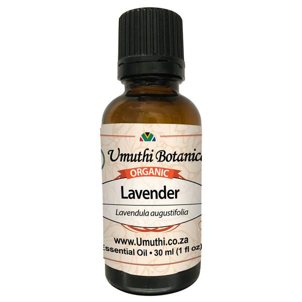 Organic lavender lavendula augustifolia 30ml