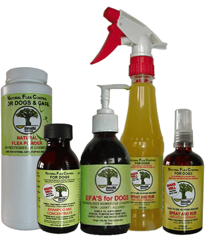 Natural Flea Control Products