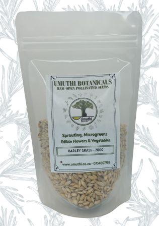 Barley Grass Seed - Microgreen & Sprouting Seeds