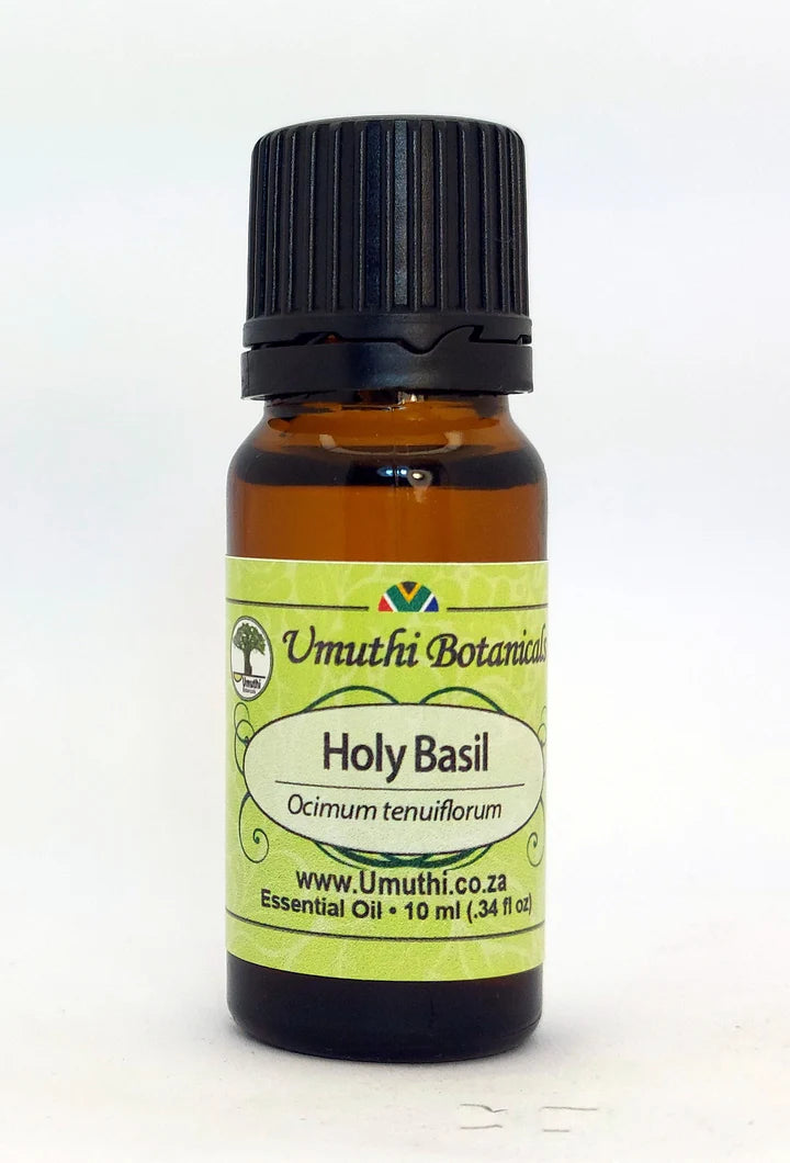 Basil Holy - Essential Oil
