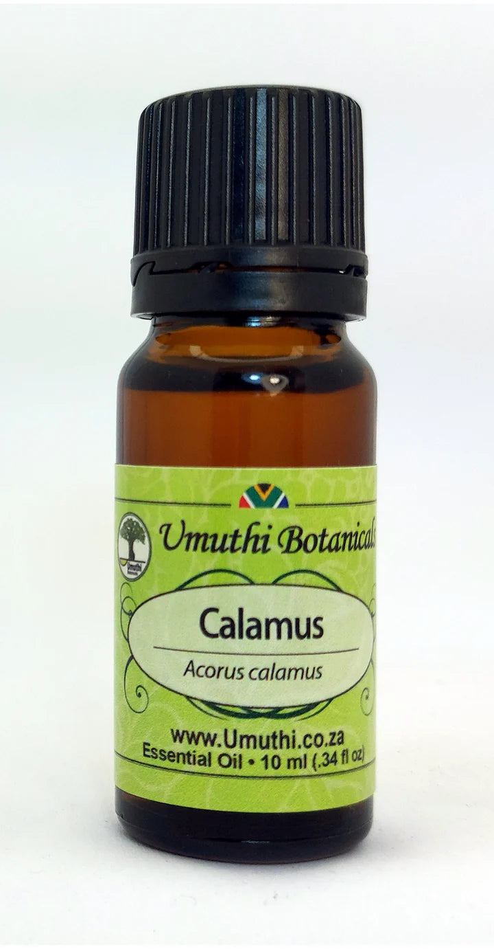 Calamus - Essential Oil