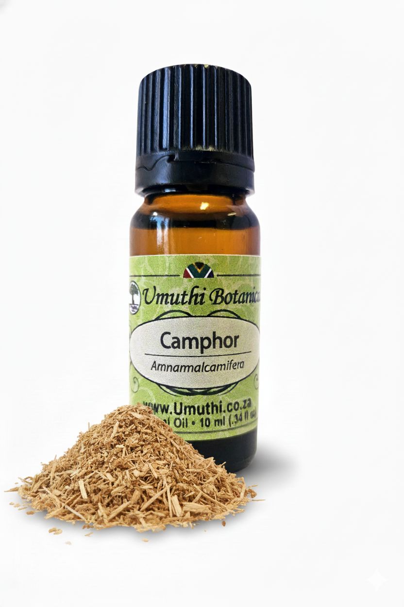 Camphor - Essential Oil