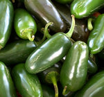 Capsicum Jalapeno M - Approx 140 seeds - Raw Open Pollinated