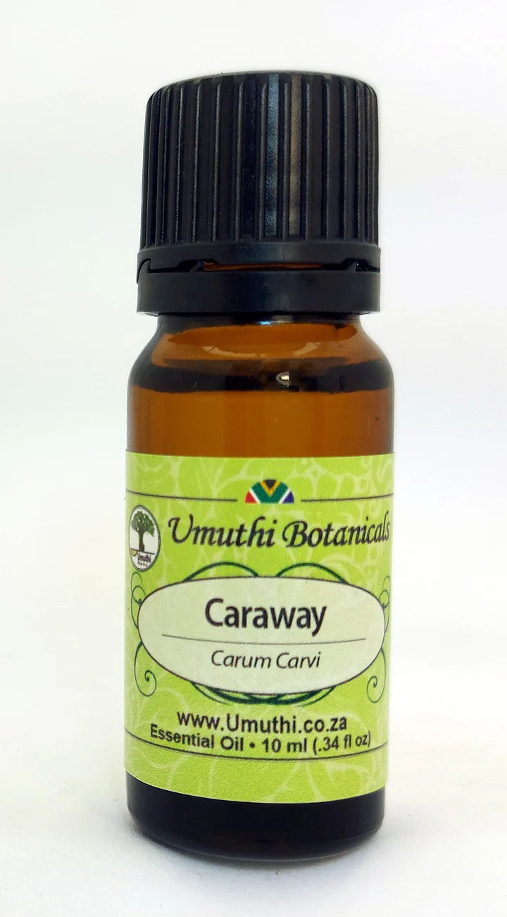 Caraway - Essential Oil