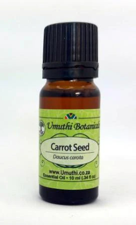 Carrot Seed - Essential Oil