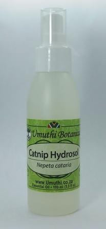 Catnip Hydrosol - 100ml Aromatic Water