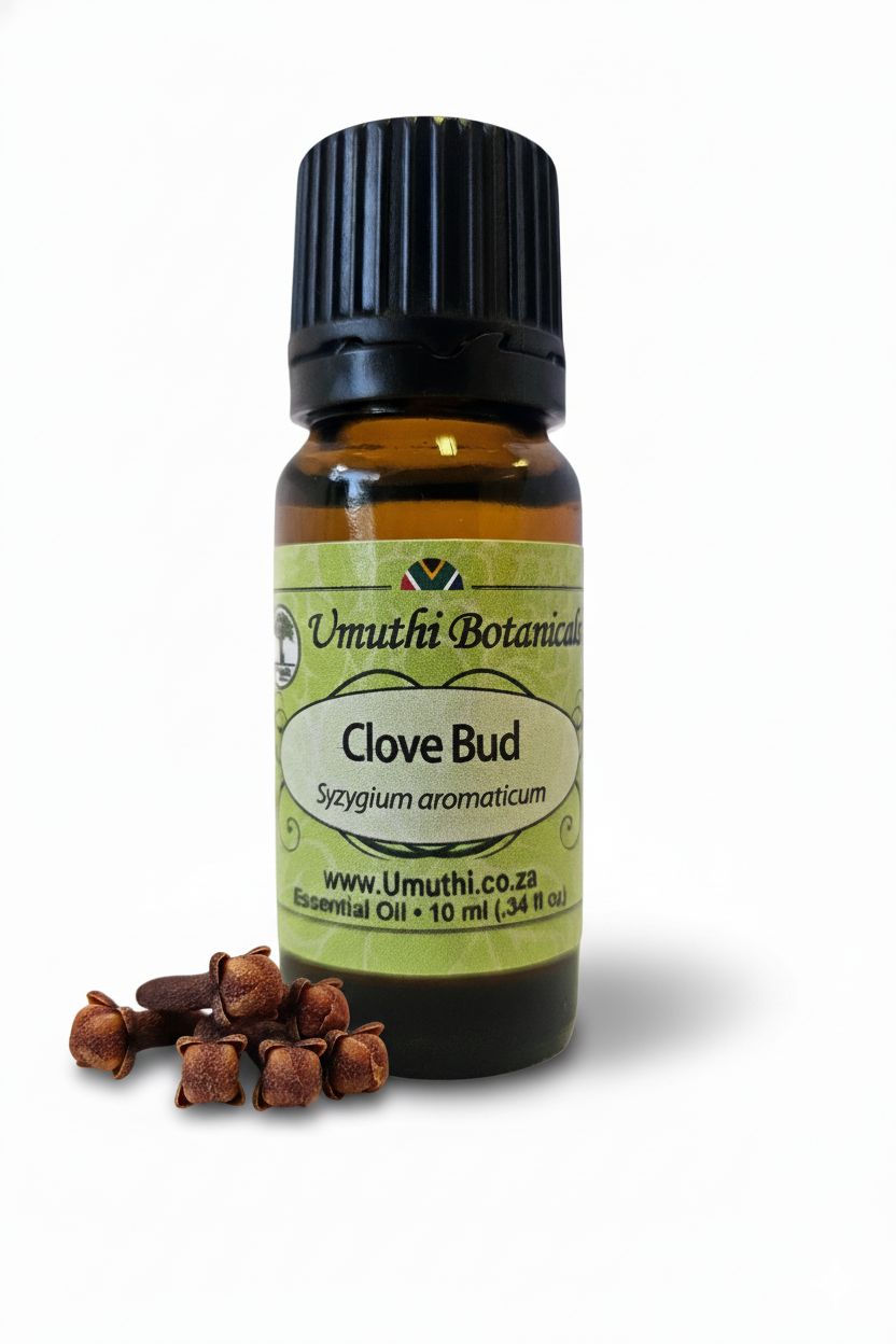 Clove Bud - Essential Oil