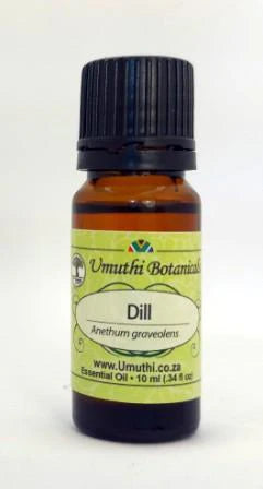 Dill - Essential Oil