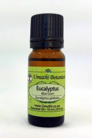 Eucalyptus Blue Gum - Essential Oil