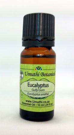 Eucalyptus Gully Gum - Essential Oil