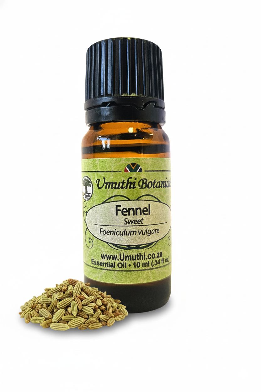 Fennel Sweet - Essential Oil
