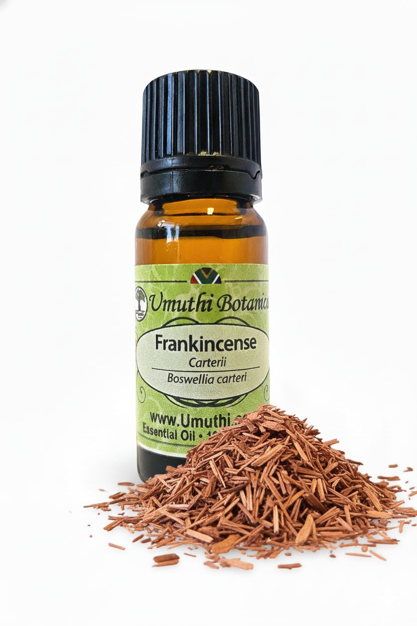 Frankincense Caterii - Essential Oil