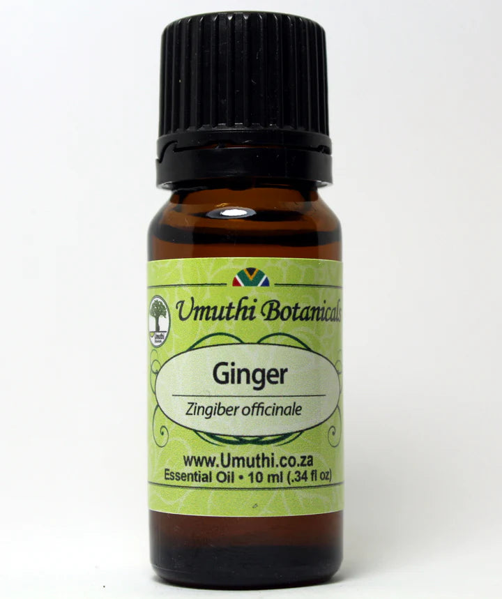 Ginger - Essential Oil