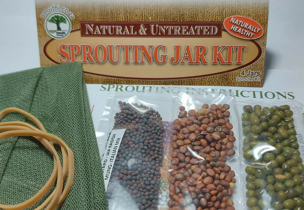 Sprouting Jar Kit - 4 Jar Seed Starter Pack