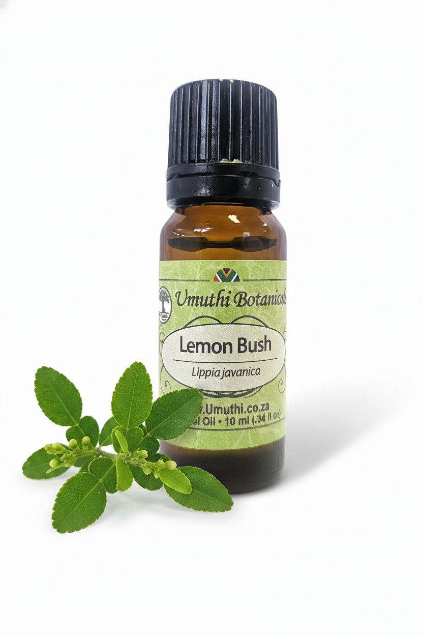 Lemon Bush - Essential Oil