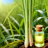 LEMONGRASS OIL - Cymbopogon citratus