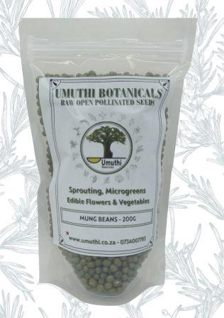 MUNG BEANS - Sprouting Seeds - Vigna Radiata - Natureal & Untreated - Microgreens