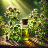 OREGANO OIL (WILD) - Origanum vulgare