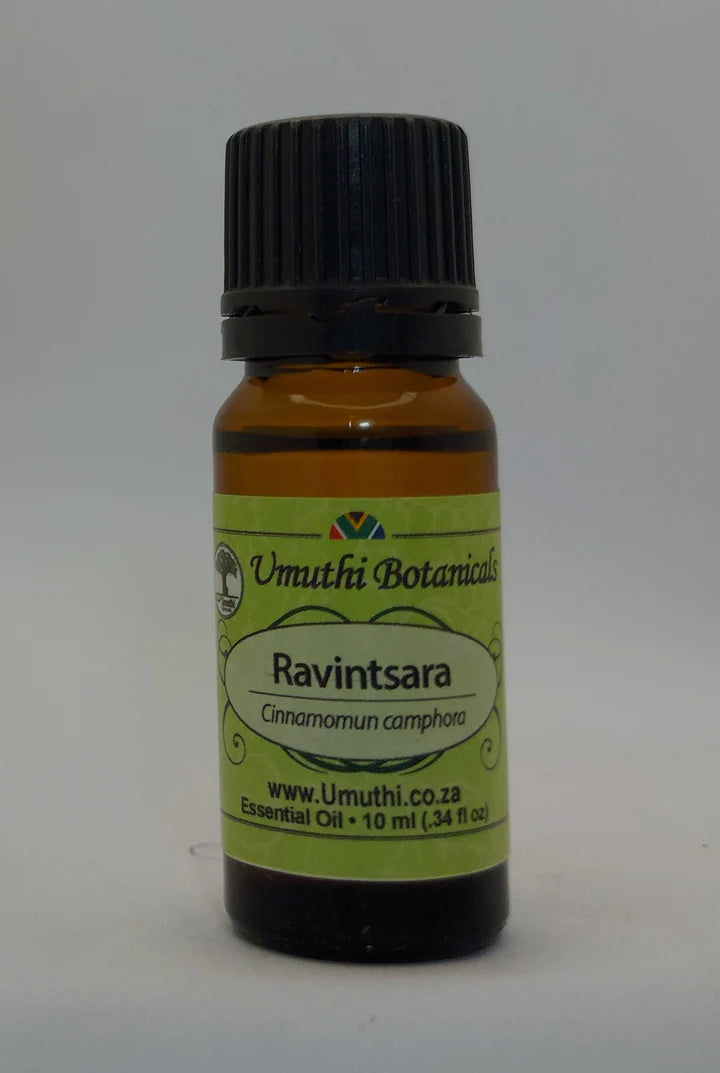 Ravintsara - Essential Oil