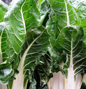 Swiss Chard Fordhook - 150 Seeds