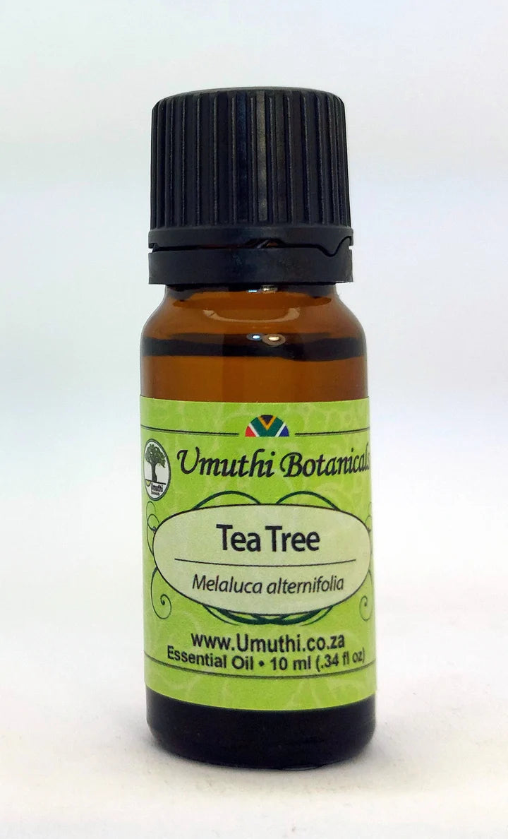 Tea Tree Common - Essential Oil