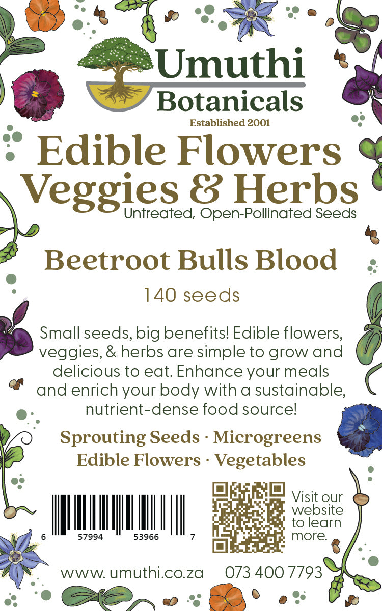 Beetroot - Bulls Blood - 140 Seeds