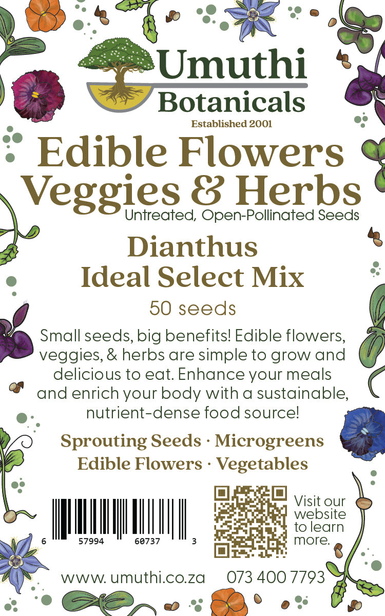 Dianthus Ideal Select Mix - Edible Flowers - 50 Seeds