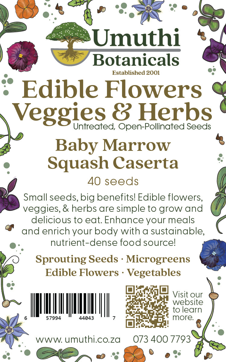 Baby Marrow - 40 Seeds