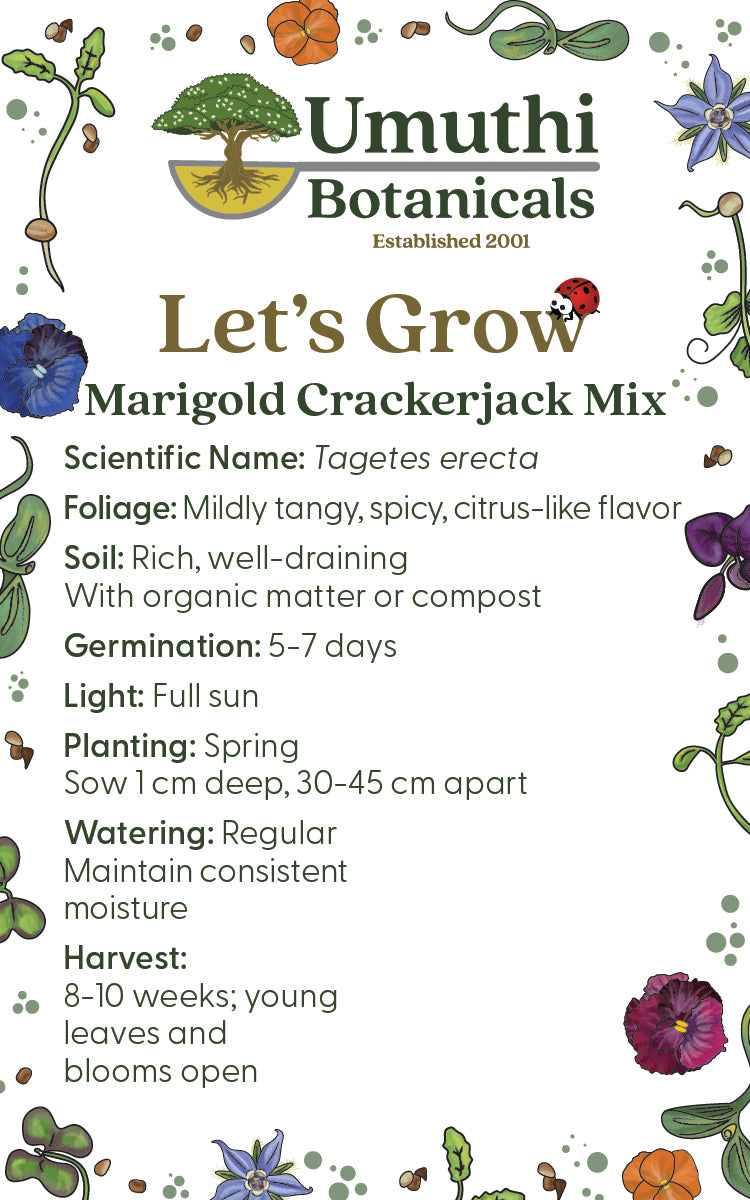 Marigold Crackerjack Seed Mix - Edible Flowers - 5 grams