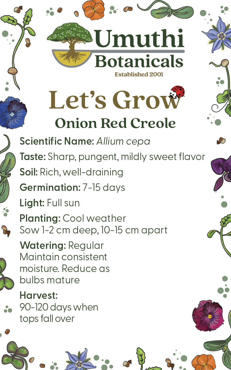 Onion Red Creole - 125 Seeds