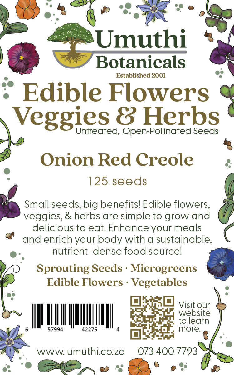 Onion Red Creole - 125 Seeds