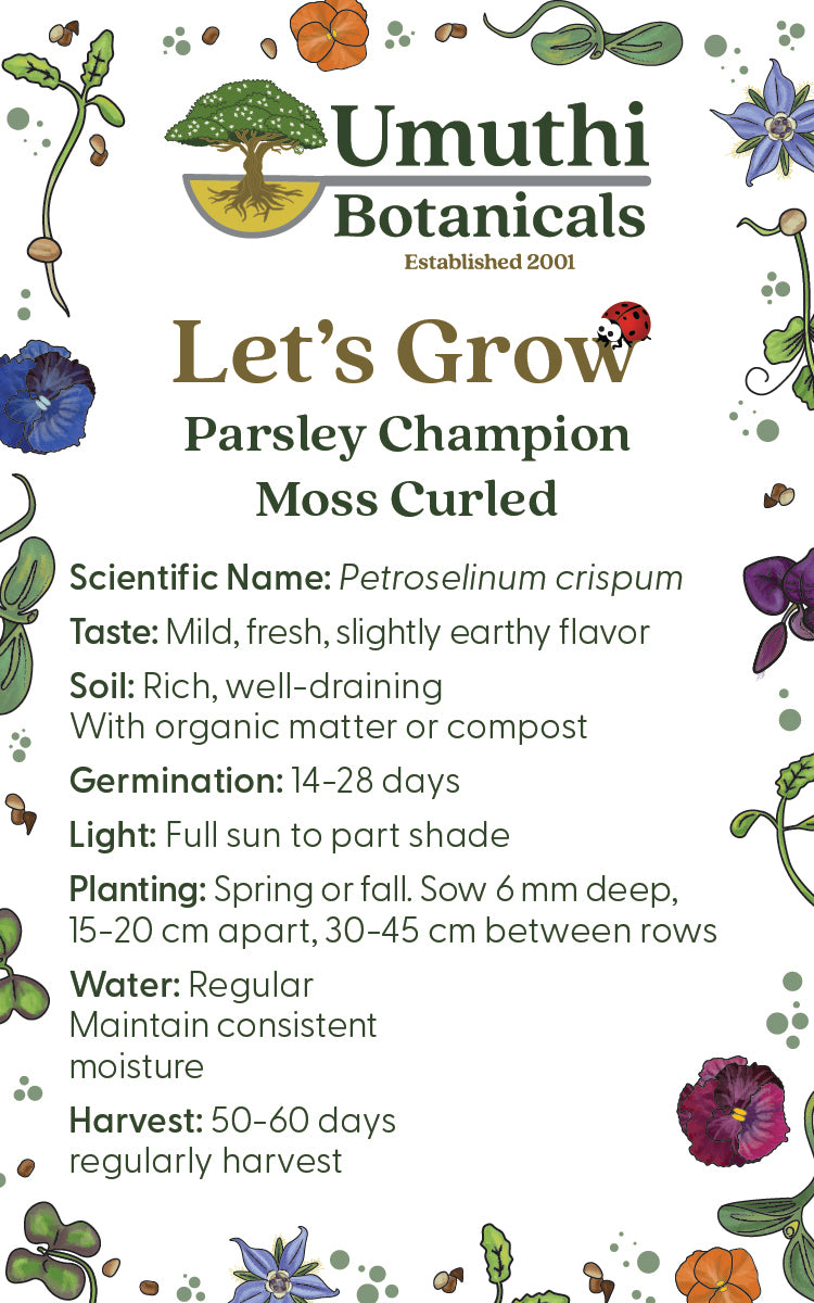 Parsley Herb - 125 Seeds